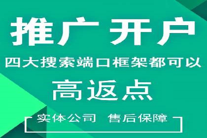 揭秘推广竞价：实战案例深度剖析